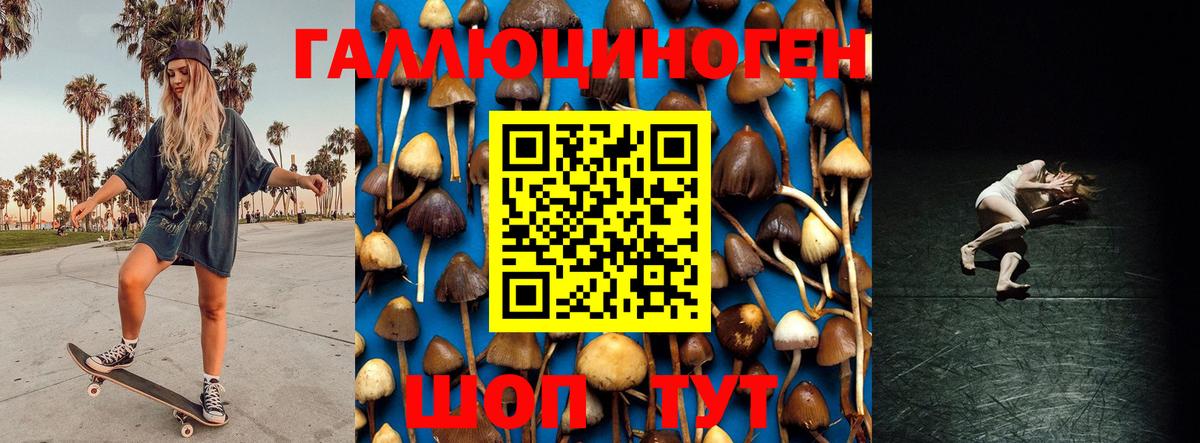 Псилоцибиновые грибы Psilocybe  Вход с VPN  Чехов 